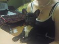 /album/tinka/dsc00585-jpg/