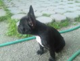 /album/tinka/dsc00637-jpg/