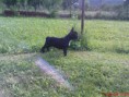 /album/tinka/dsc00937-jpg/