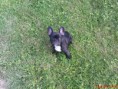 /album/tinka/dsc00941-jpg/