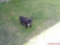 /album/tinka/dsc00947-jpg/