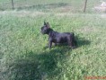 /album/tinka/dsc00952a-jpg/